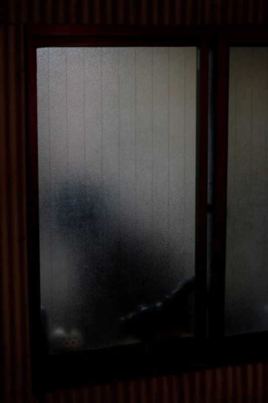 Imagem ilustrativa de Pelicula fumê para janela